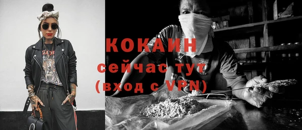 бошки Горняк