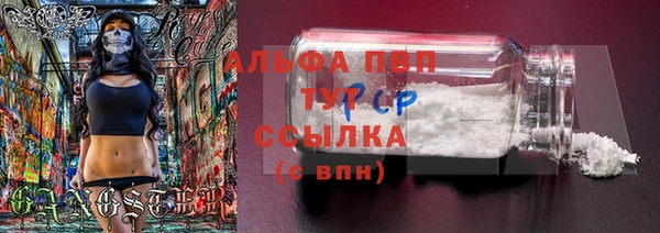 дживик Вяземский