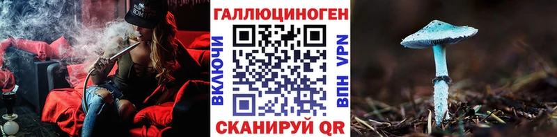 Купить закладки  Назрань  Псилоцибиновые грибы Magic Shrooms 